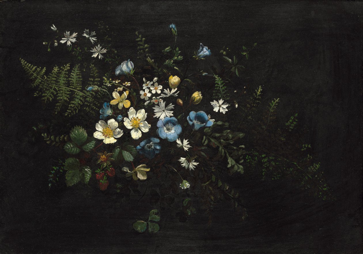 Spray of Flowers and Ferns, datum neznámé. od Titian Ramsay Peale