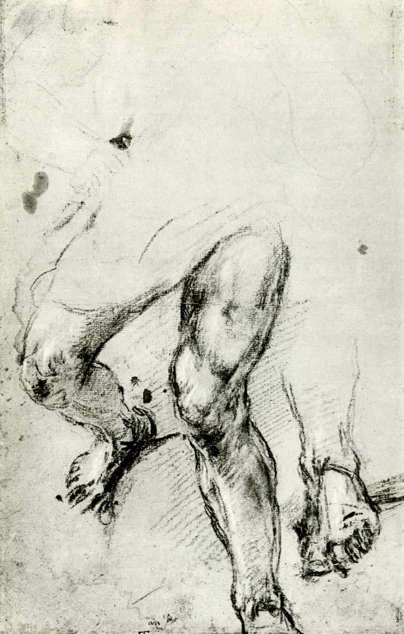 Studie k mučednictví svatého Vavřince v Benátkách, c1550, 1937 od Tiziano Vecelli