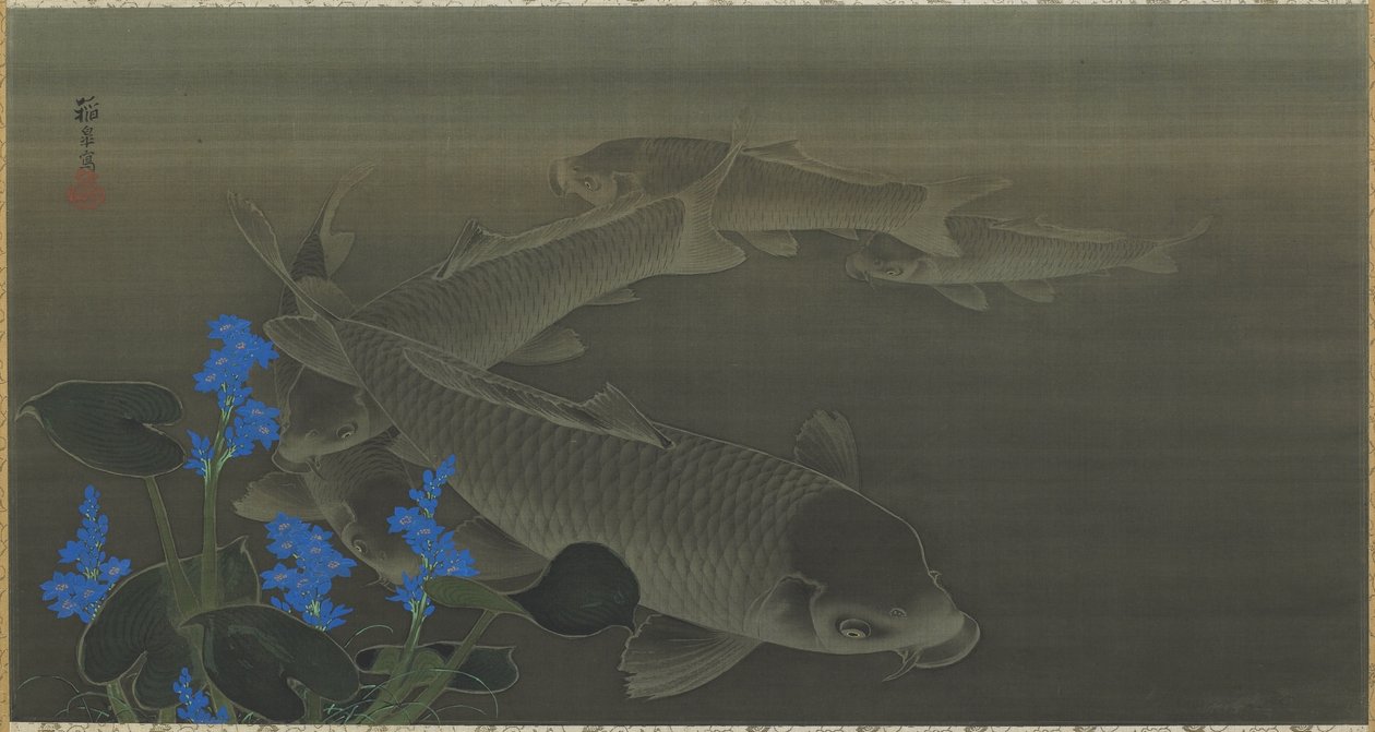 Kapr, období Edo, 1787-1846 (inkoust a barva na hedvábí) od Toko Kuroda