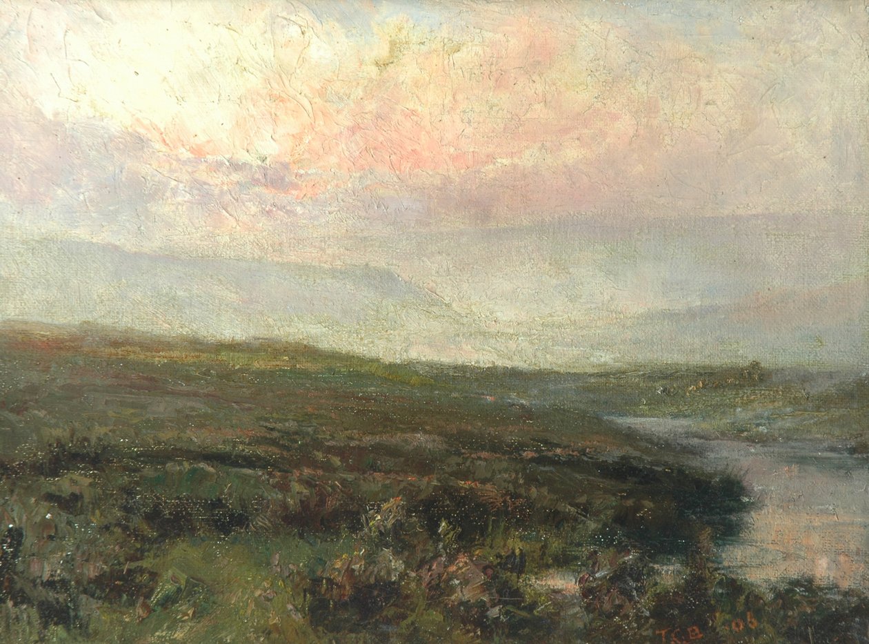 Scéna Moorland od Tom Clifton Butterfield