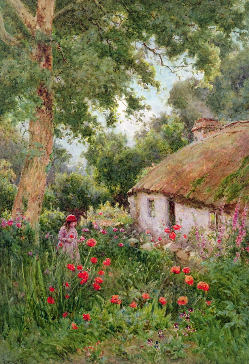Chatová zahrada (wc na papíře) od Tom Clough