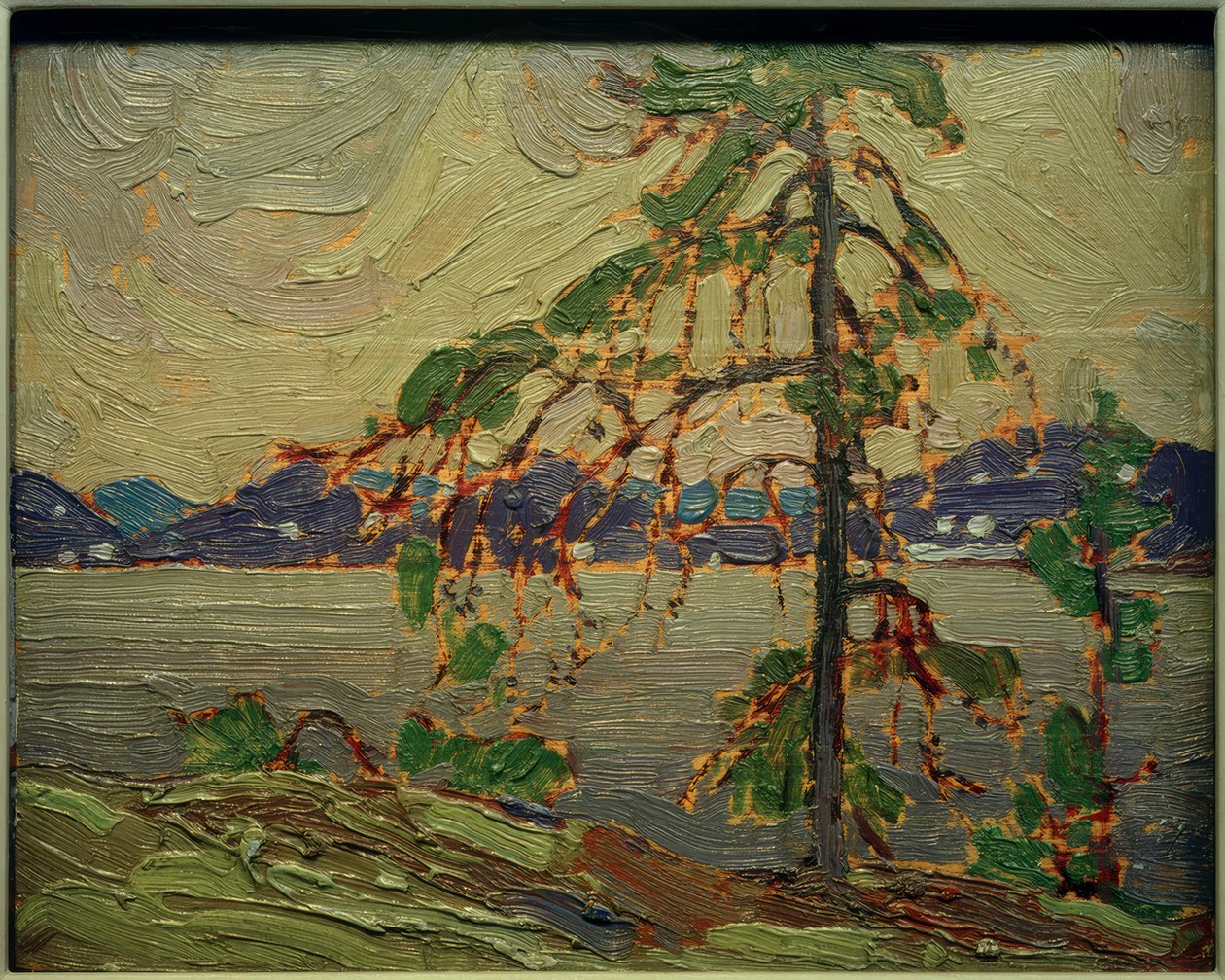 Jack Pine (Sketch) od Tom Thomson