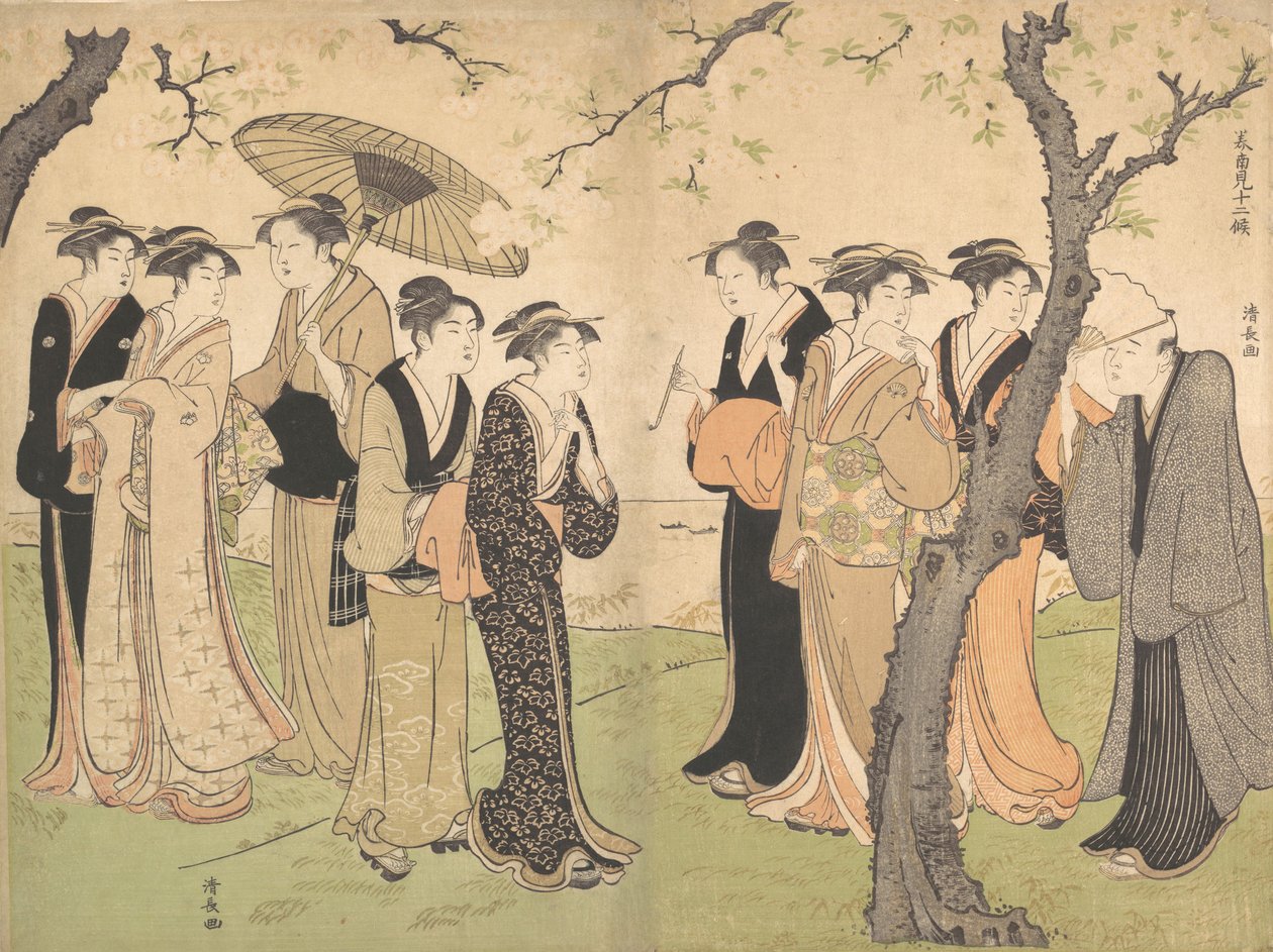 Skupina šesti gejš pod třešňovými stromy na Gotenyamě, ca. 1785. od Torii Kiyonaga