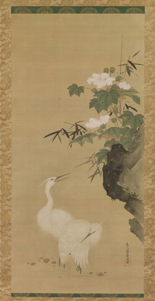 Egrets and Cotton Roses, polovina až konec 17. století. od Tosa Mitsuoki