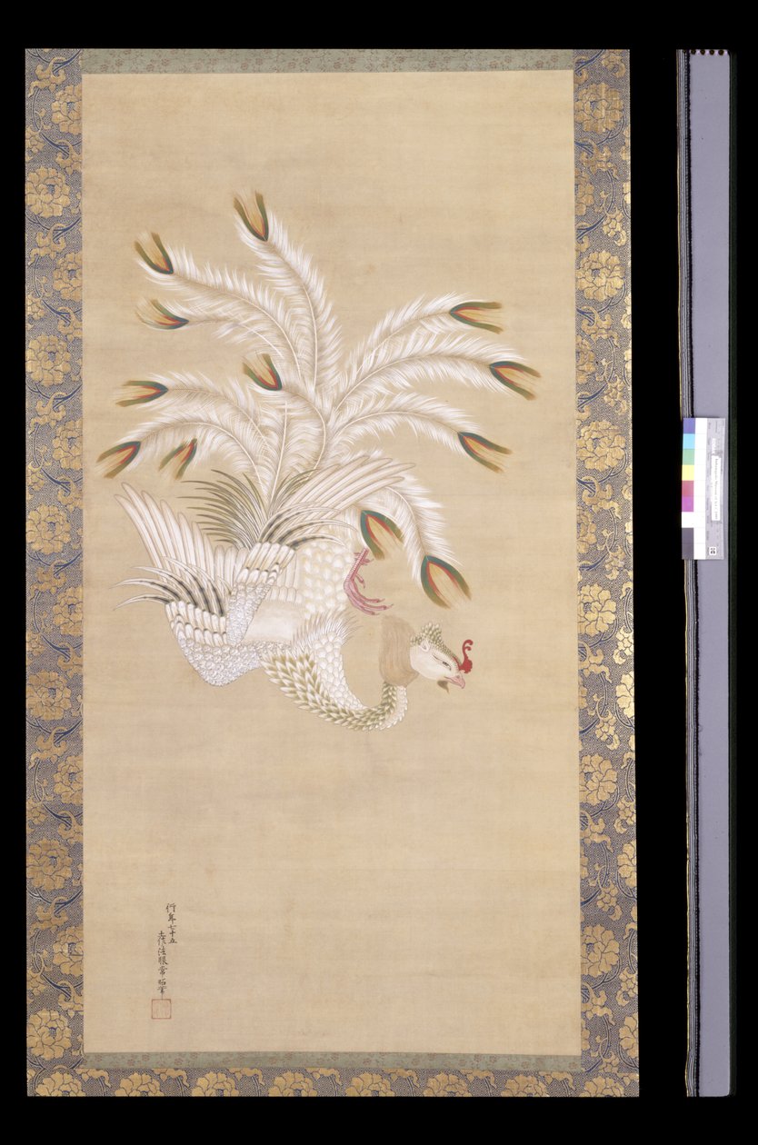 Phoenix, From Chinese Beauty, Phoenix And Peacock (inkoust a barva na hedvábí) od Tosa Mitsuoki