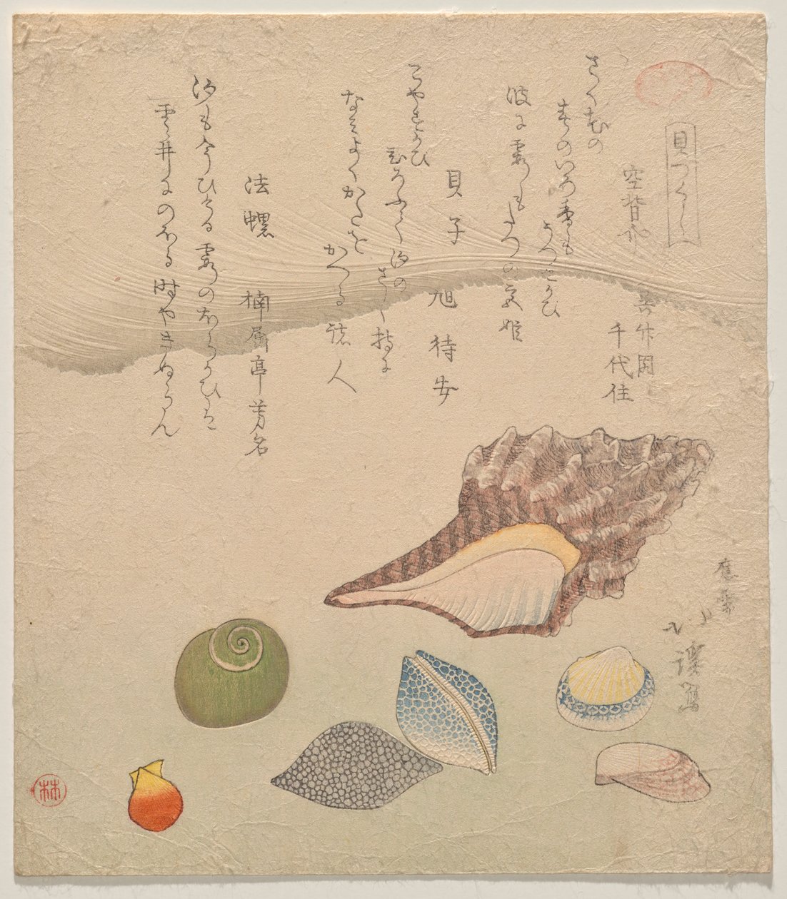 Seven Shells at the Edge of the Sea, ze série Shells Compendium (Kaizukushi) od Totoya Hokkei