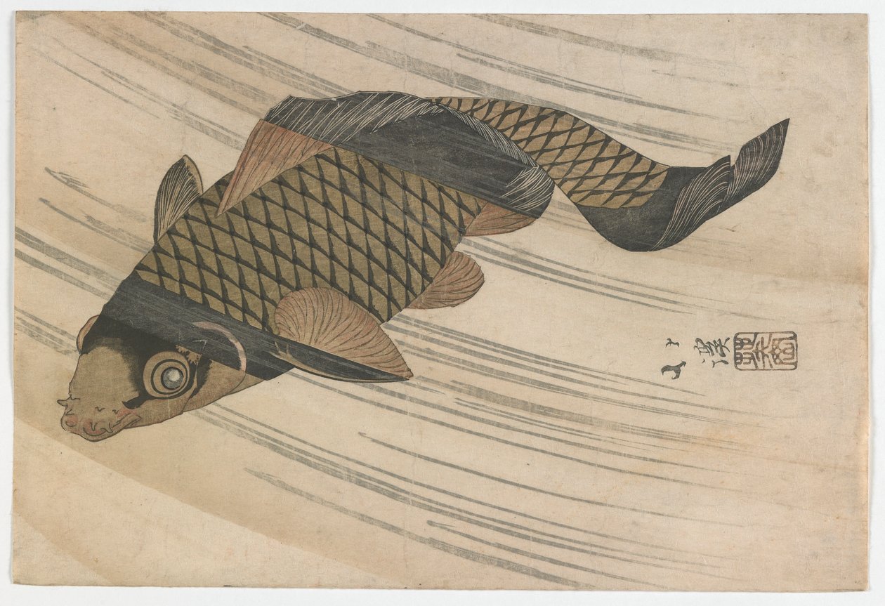 Carp Swimming Upstream, období Edo, polovina 20. let 19. století (barevný dřevotisk) od Toyota Hokkei