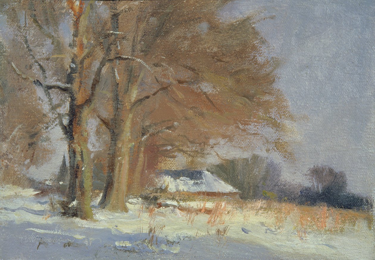 Lípy ve sněhu od Trevor Chamberlain