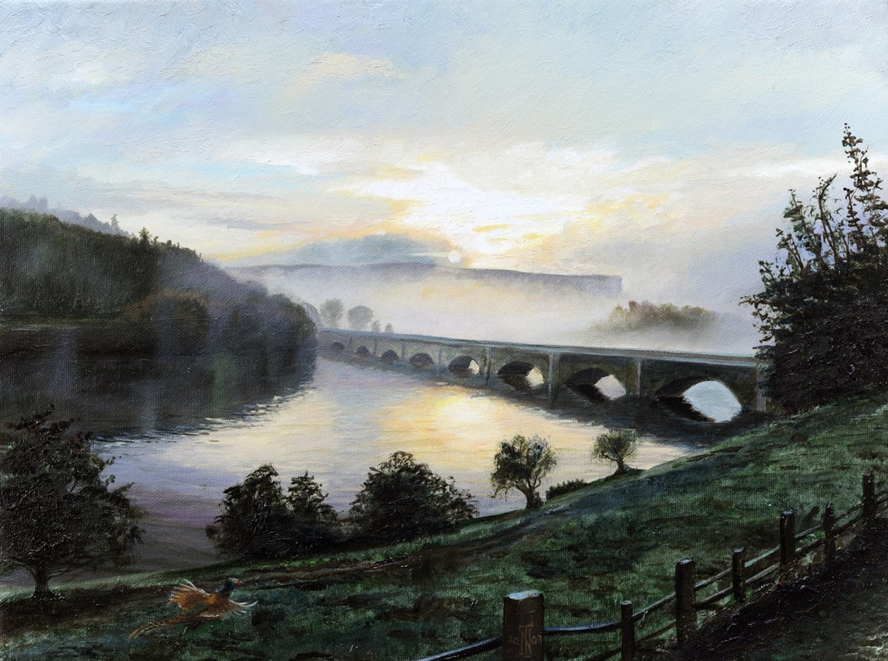 Časná ranní mlha, 2009 od Trevor Neal