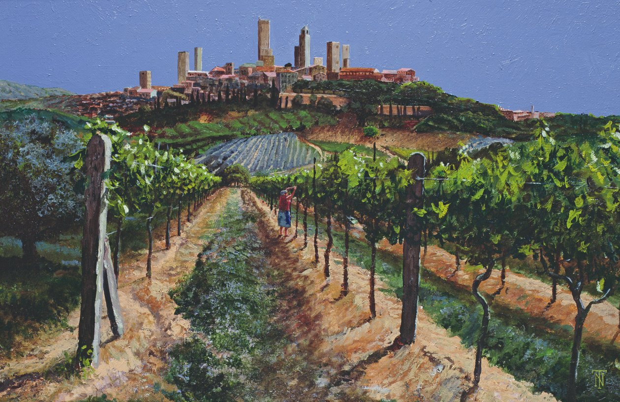 Grape Vines, San Gimignano, Toskánsko, 1998 od Trevor Neal