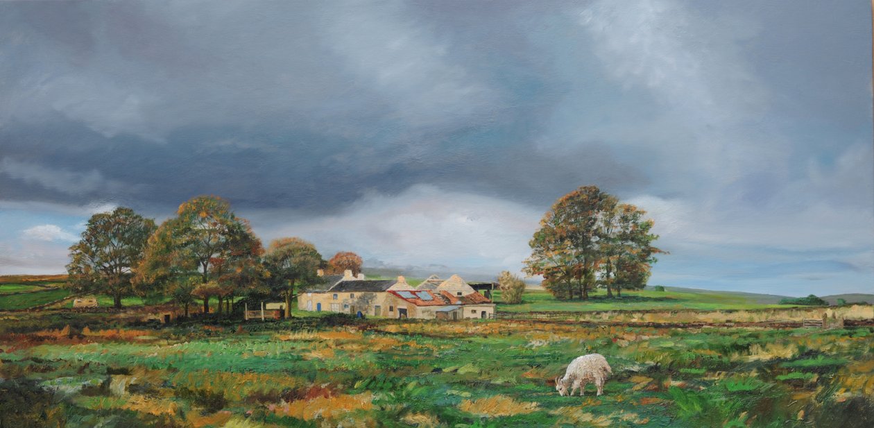 Stará farma, Monyash, Derbyshire, 2009 od Trevor Neal