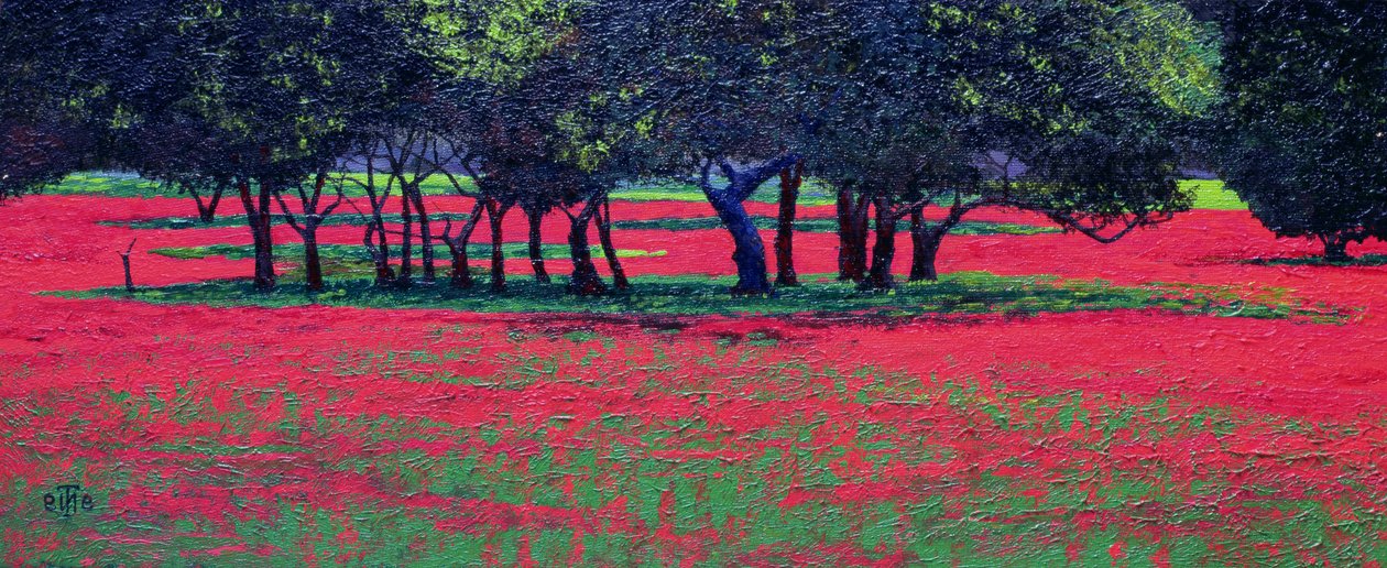 Red Shock, 1999 od Trevor Neal