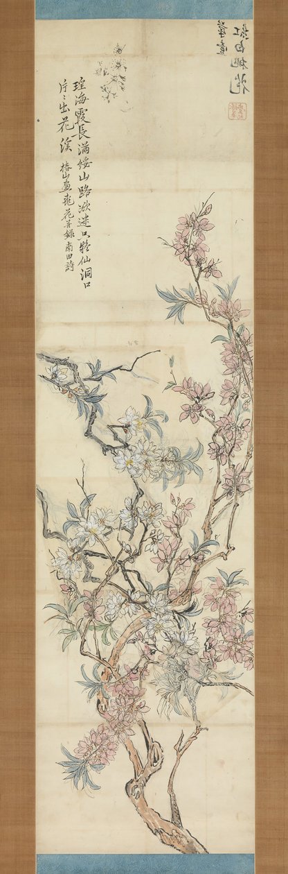 Červené a bílé květy broskvoně, přípravný náčrt, 1843. od Tsubaki Chinzan