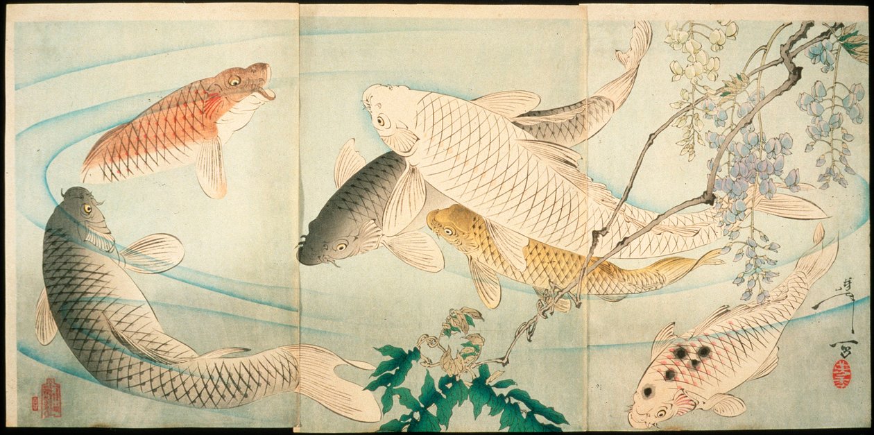 Karp s vistárií od Tsukioka Yoshitoshi