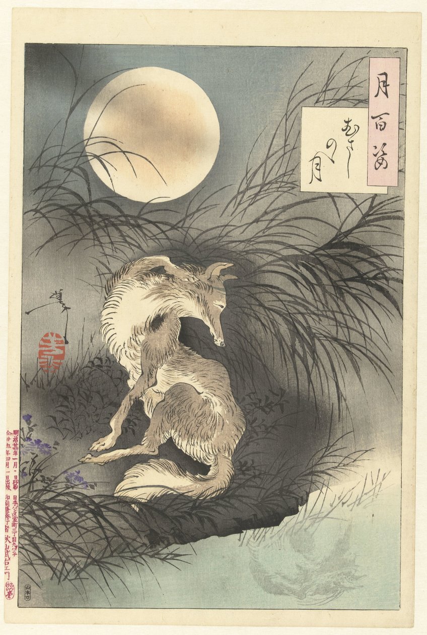 Měsíc Musashi Musashino no tsuki (název na objektu) Sto aspektů Měsíce (název série) Tsuki hyakushi (název série na objektu) od Tsukioka Yoshitoshi