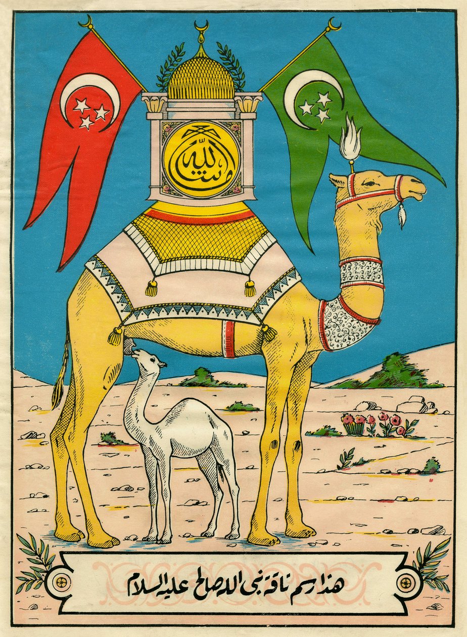 Velbloud ze Salehu, súra 7, verš 71: (...) tento Boží velbloud je pro vás znamením (...). Populární snímky, Tunisko od Tunisian School