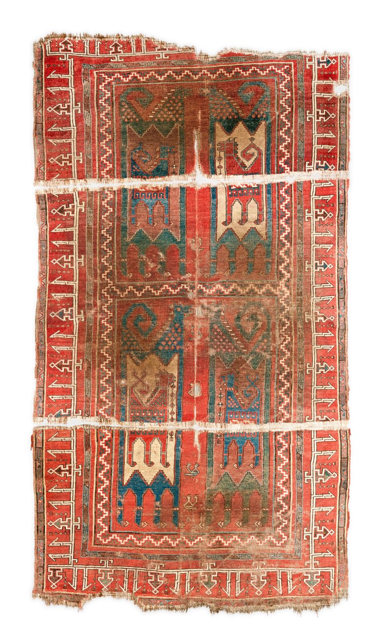 Koberec se zvířecím designem od Unknown