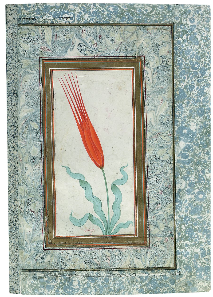 Stránka z alba Turkish Tulip, Istanbul, 1725 od Turkish School