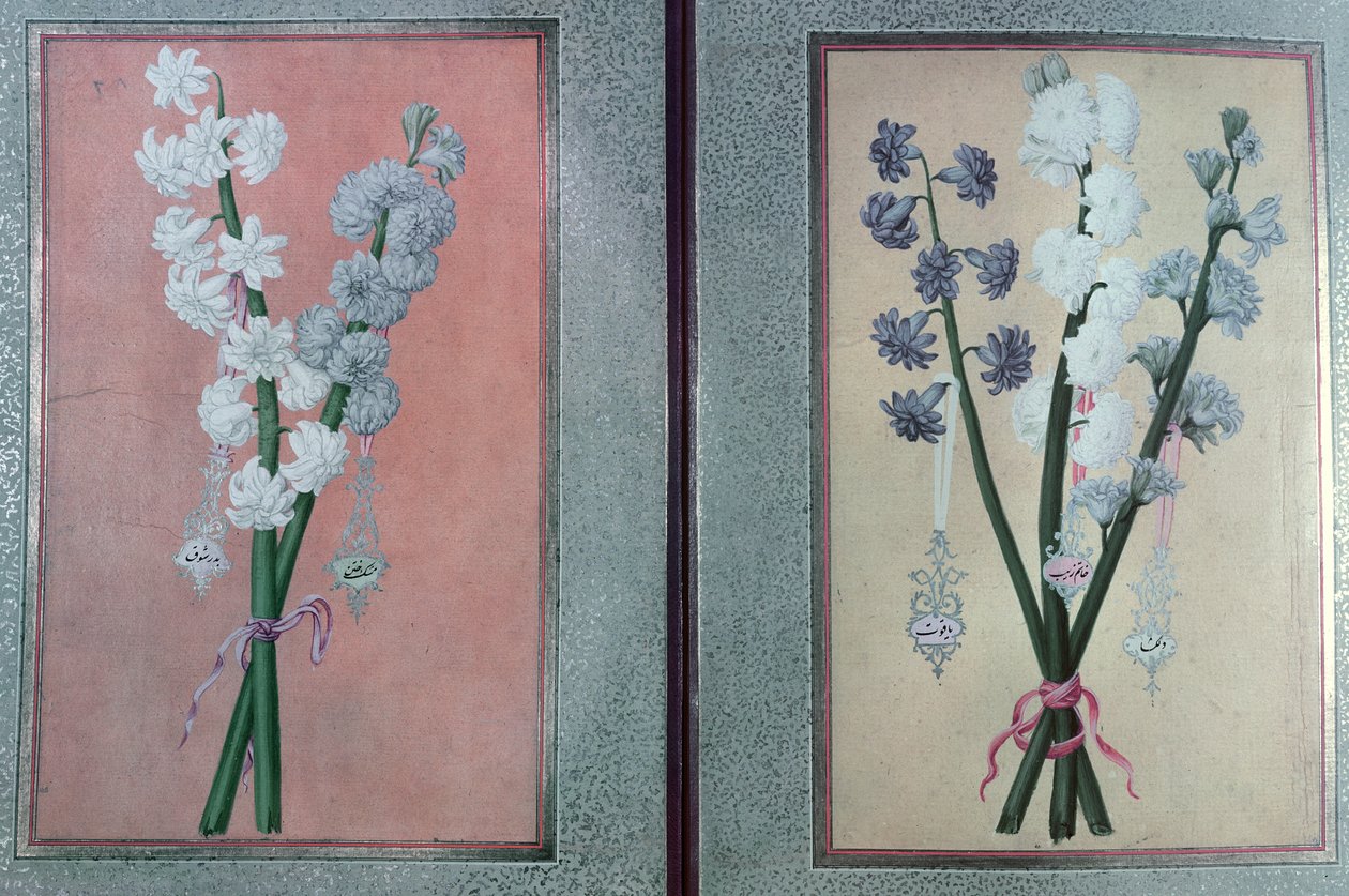 T.K.Hazine 413 Dva hyacinty, 1736 od Turkish School