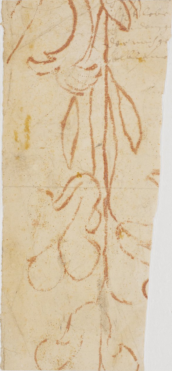Planteornament (fragment) od Ubekendt KKSgb7383