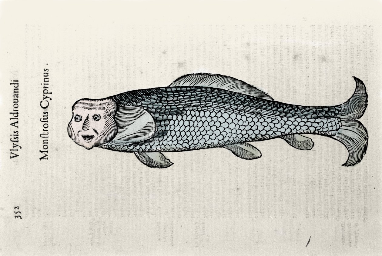 Reprezentace ryb Nicolasova deska ilustrovaná rukopisem Natural History od Ulisse Aldrovandi (1522-1605), Ulisse Aldrovandi fonds, Univerzitní knihovna v Bologni, ed. 1603. od Ulisse Aldrovandi