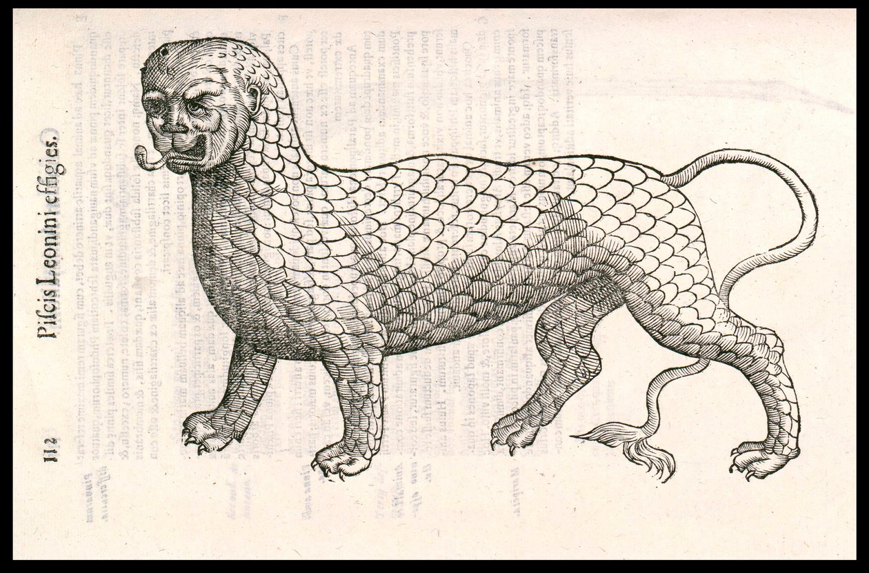 Monster Creature: lev pokrytý rybími šupinami (neboli lví ryba). Rytina Ulisse Aldrovandi (1522-1605), „Monstrorum Historiae“, Bologna 1642 od Ulisse Aldrovandi
