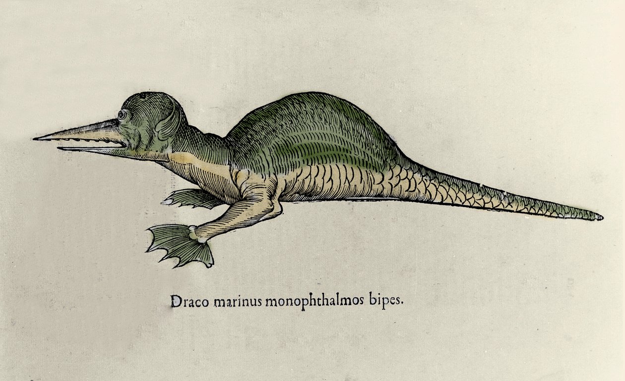 Reprezentace mořského draka. Rukopis Talíř přírodní historie Ulisse Aldrovandi (1522-1605) o příšerách od Ulisse Aldrovandi