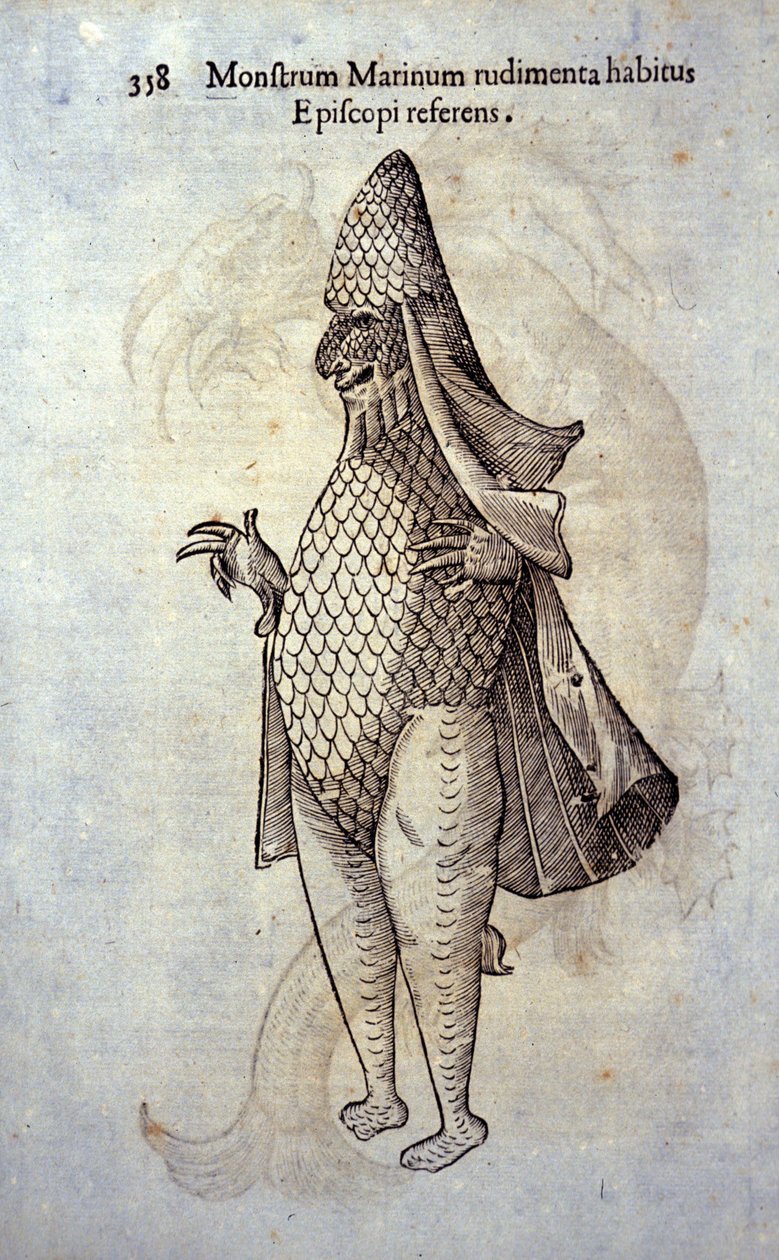 Mořský předvečer, imaginární ryba a mořská příšera od Ulisse Aldrovandi (1522-1605), „History of Monsters“, Bologna 1642 od Ulisse Aldrovandi