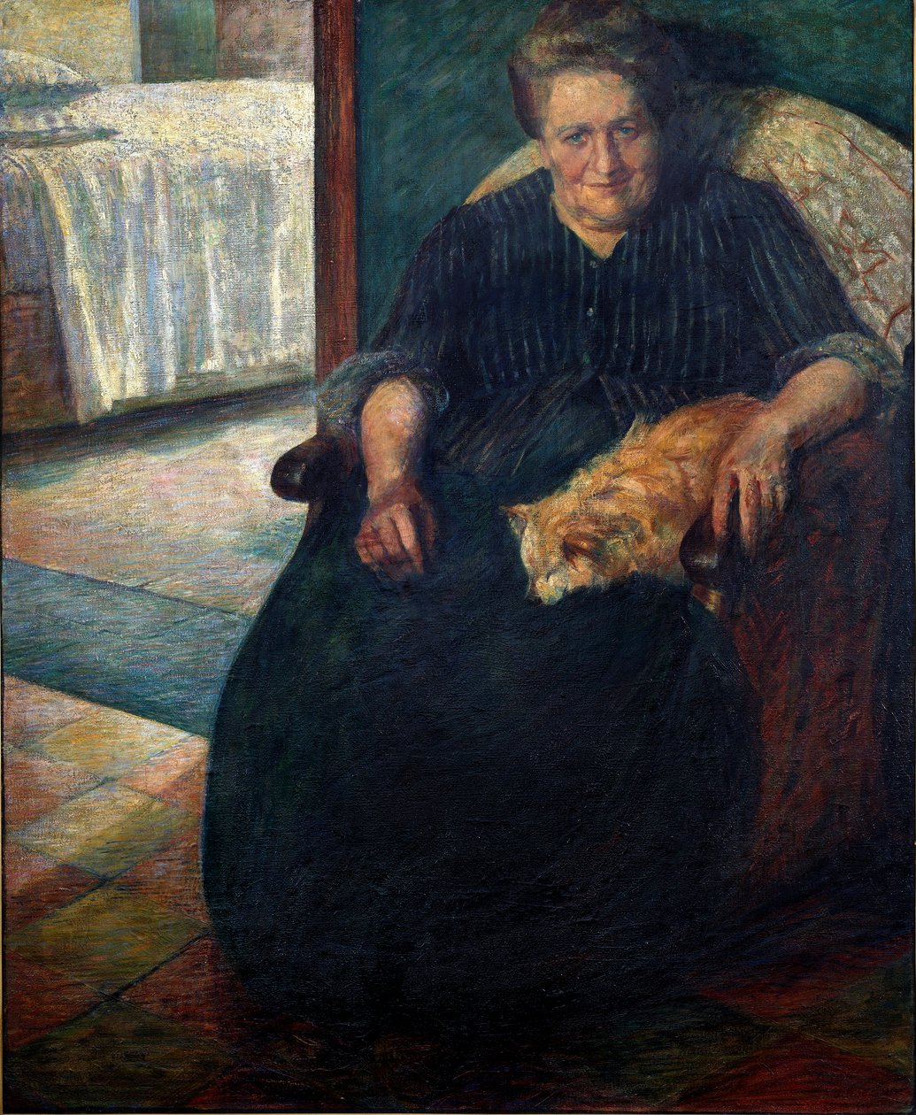 Madame Virginie (La signora Virginia) Portrét korpulentní ženy sedící s kočkou na kolenou. Obraz Umberta Boccioniho (1882-1916) 1905 Ne. 140x115,5 cm Milán, Museo del Novecento od Umberto Boccioni