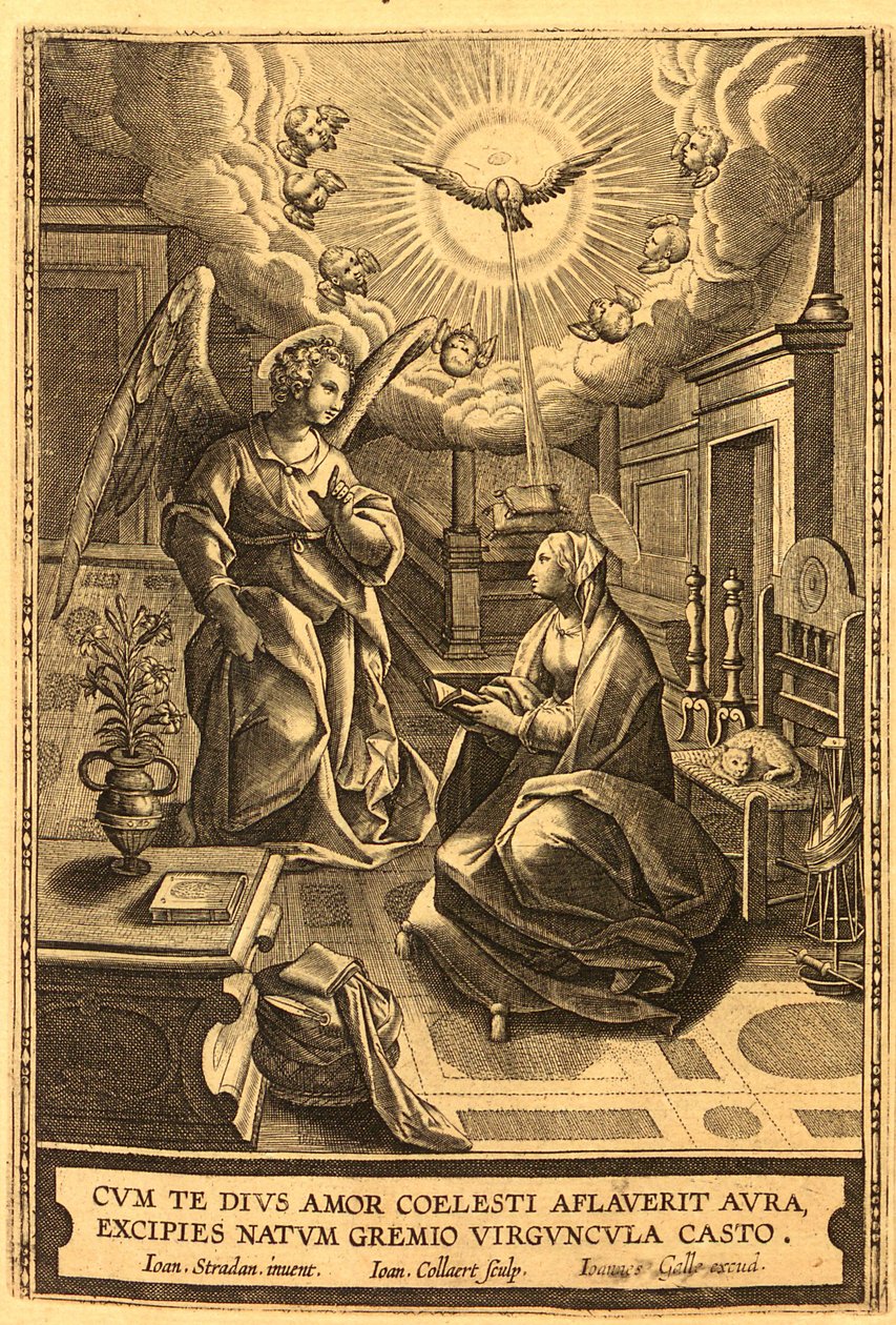 Dějiny Nového zákona - 1722 - (117) od Unbekannt Unbekannt