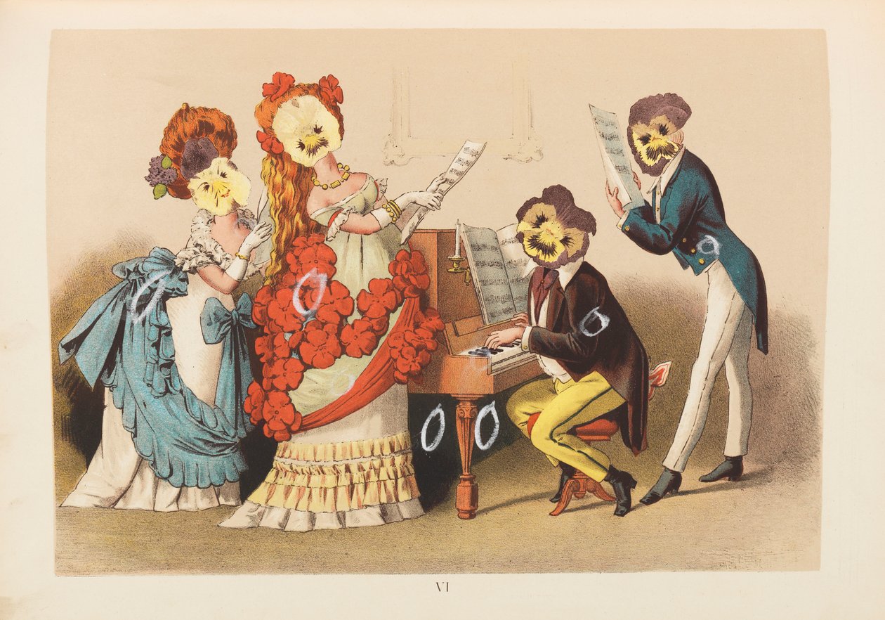 Viola Tricolor ilustrace od Unbekannt Unbekannt