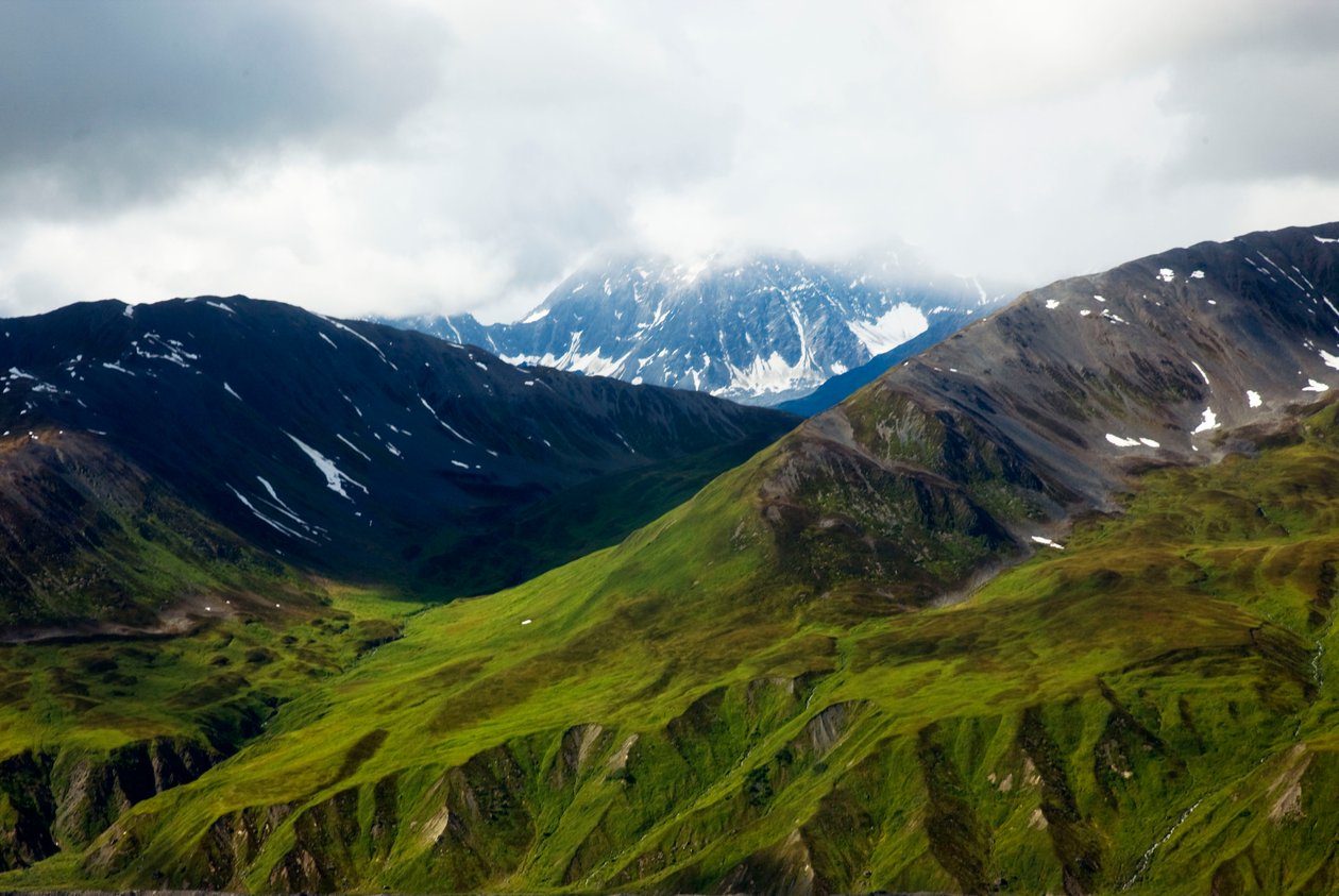 Aljašská tundra, národní park Denali, Aljaška od Unbekannt Unbekannt