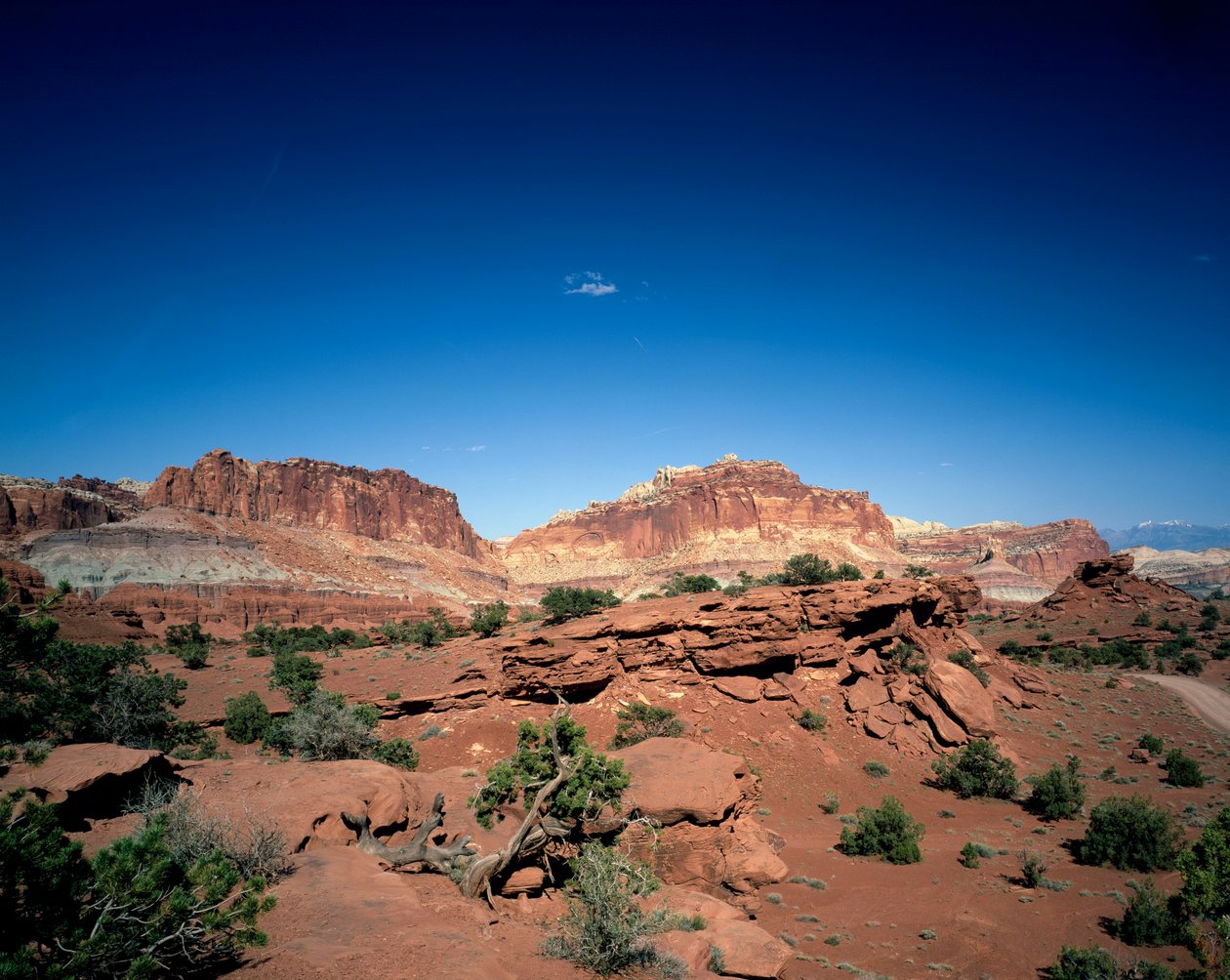 Capitol Dome and Chimney Rock, národní park Capitol Reef, Utah od Unbekannt Unbekannt