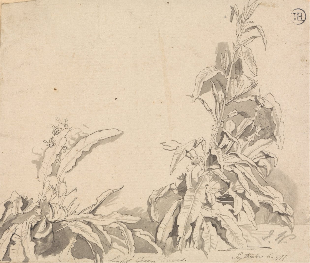 Doky, 6. září 1777 od Unbekannt Unbekannt