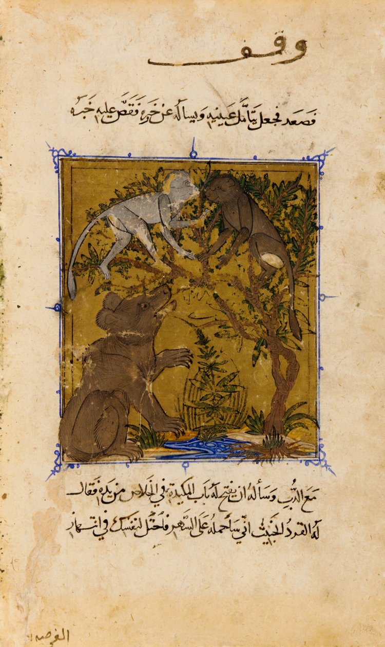 Folio ze Sulwan al-Muta (Útěcha rozkoše) od Ibn Zafar; verso- Příběh medvěda a ... od Unbekannt Unbekannt