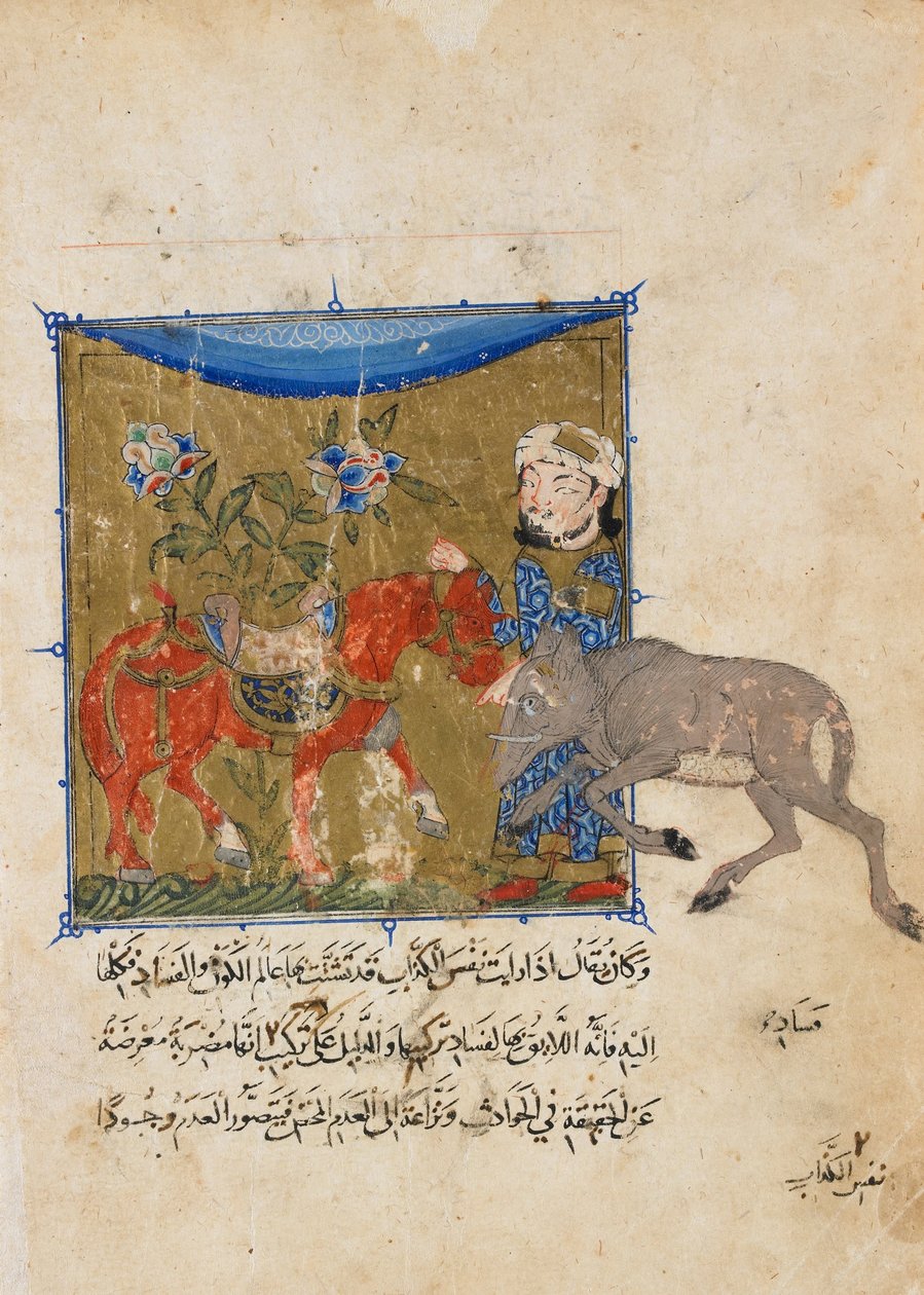 Folio ze Sulwan al-Muta od Ibn Zafar; verso- kanec a kůň od Unbekannt Unbekannt