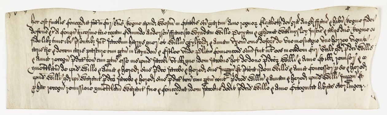 Land, Layndon, 20 akrů a 1 sdělení s názvem Datum Octo. 1585 od Unbekannt Unbekannt
