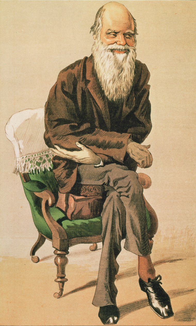 Muži dne, ne. 33, Charles Darwin, karikatura z Vanity Fair od Unbekannt Unbekannt
