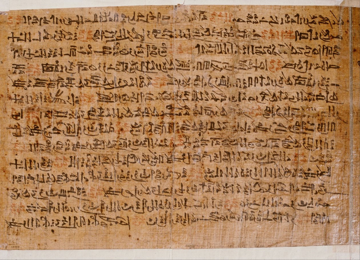 Papyrus z Ipoeweru od Unbekannt Unbekannt