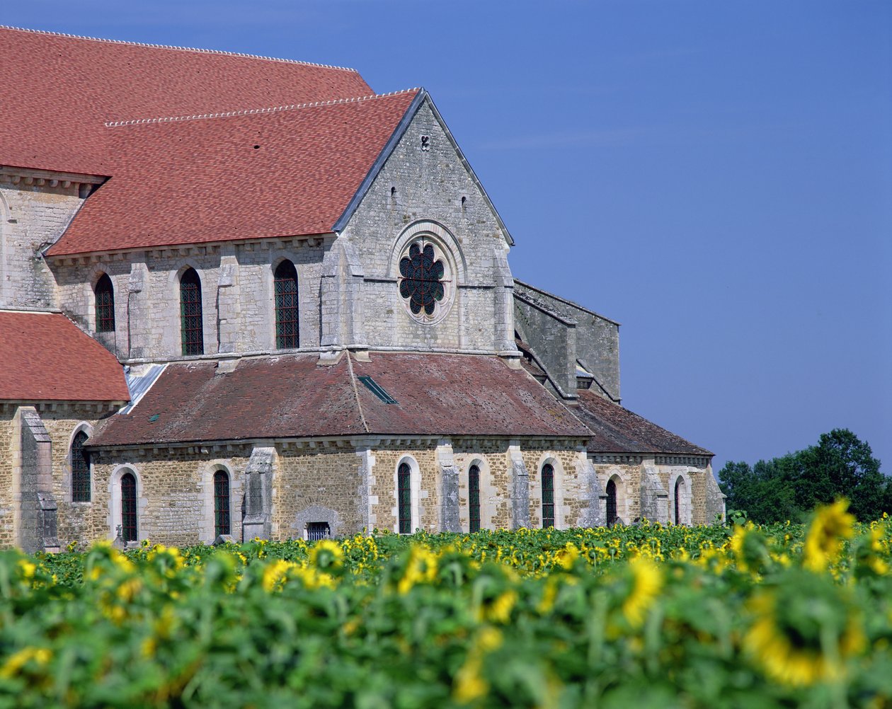 Pontigny Abbey od Unbekannt Unbekannt