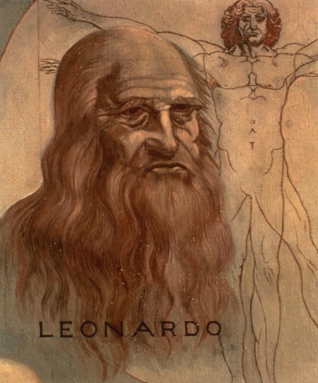 Portrét Leonarda da Vinciho s jeho „Vitruviánským mužem“ od Unbekannt Unbekannt