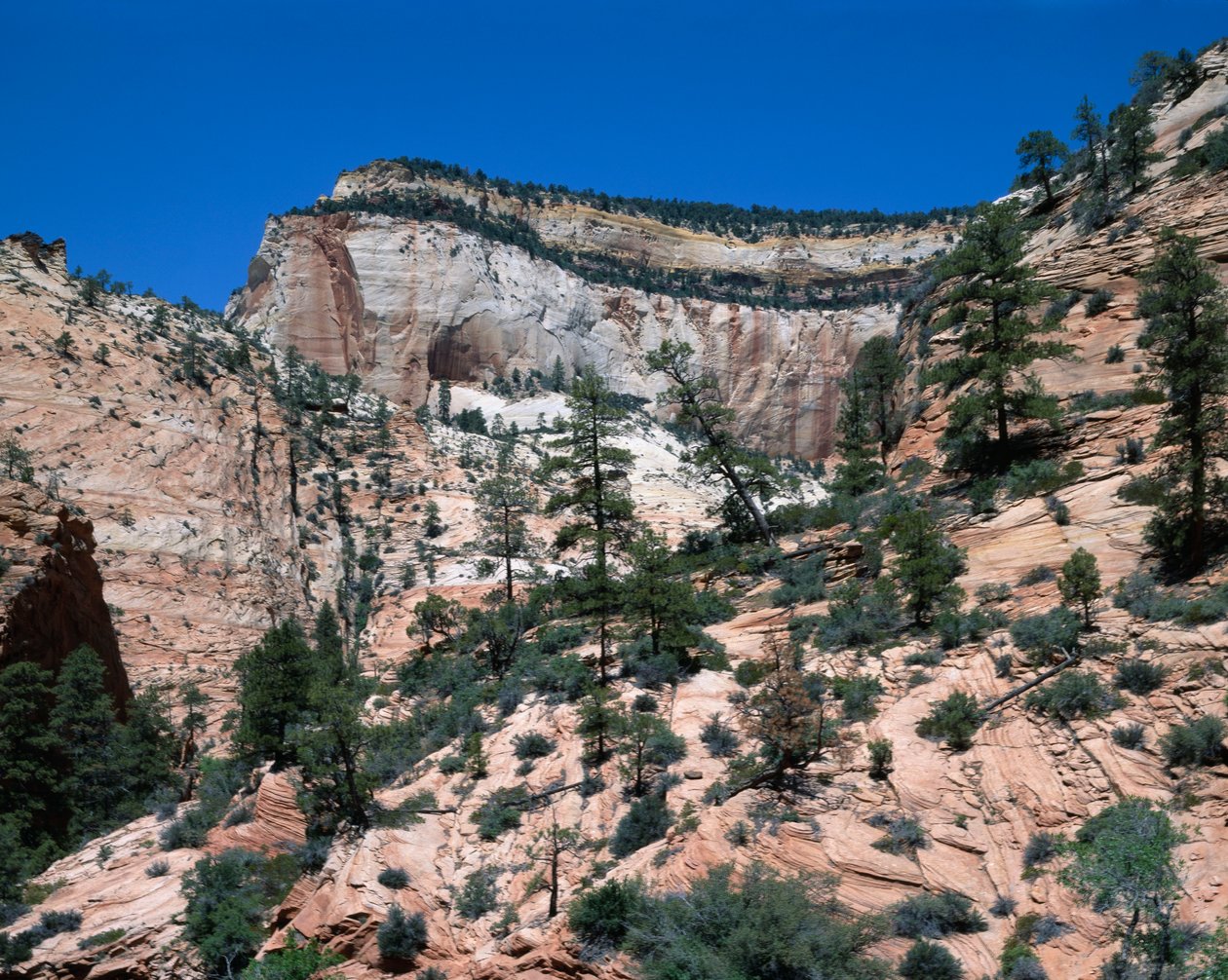 Národní park Zion, Utah od Unbekannt Unbekannt