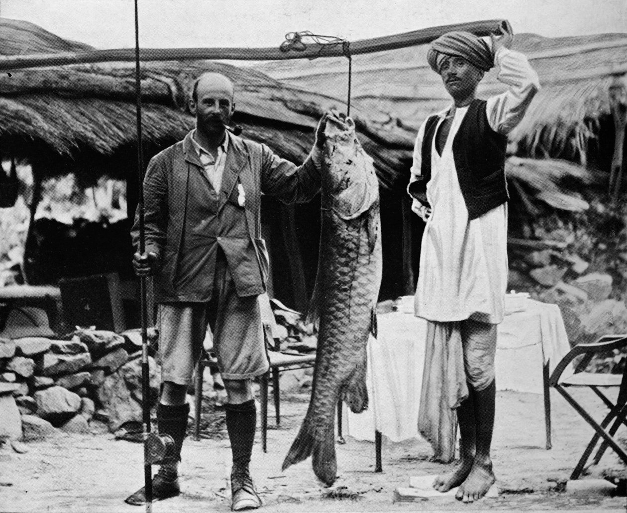 59 lb Mahseer, chycen kapitánem H. B. D. Campbellem, R. E., v Horní Gangy, c1903, 1903 od Unbekannt