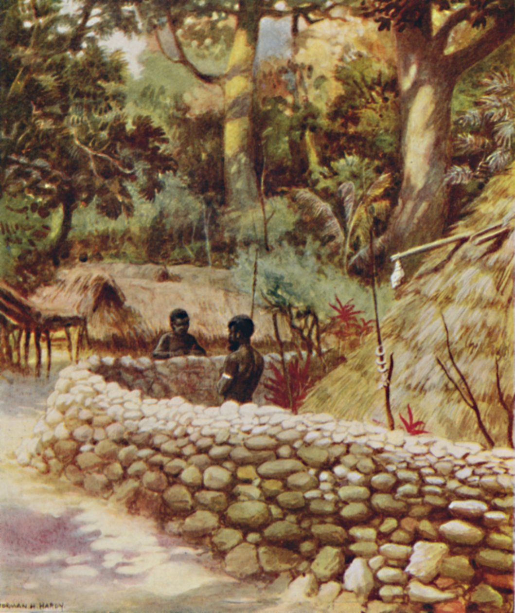 A Chiefs House, Nové Hebridy, 1923. od Unbekannt