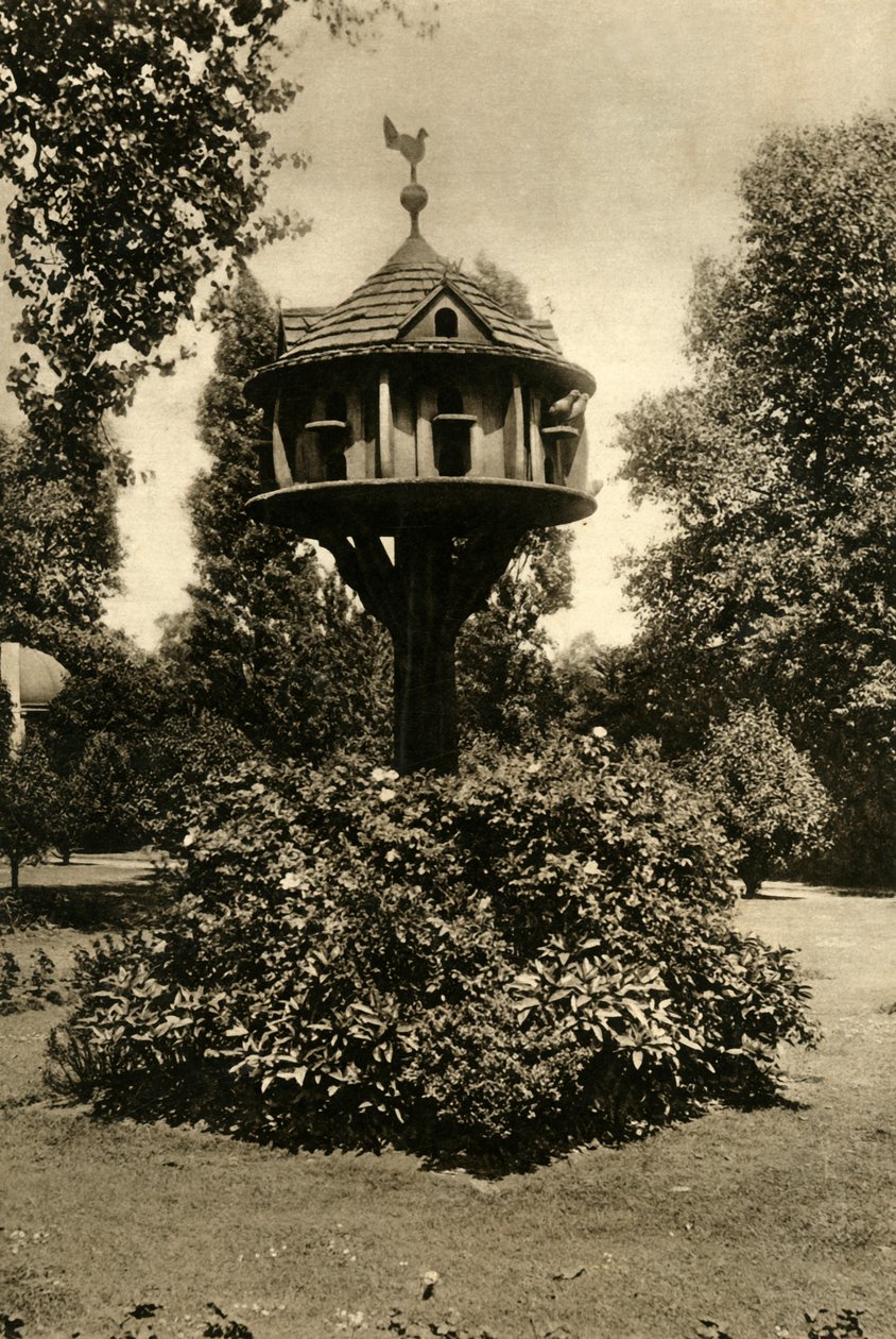 Holubník - v zahradě vdovy markýze z Bute, St. Johns Lodge, Regents Park, 1920. od Unbekannt