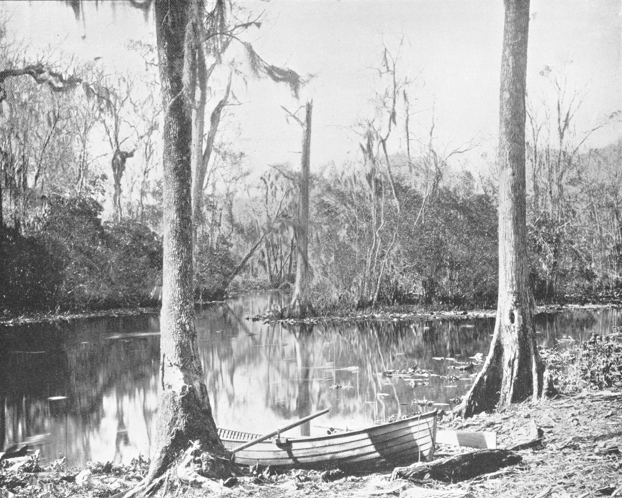 Feeder of the St. Johns River, Florida, USA, c1900. od Unbekannt