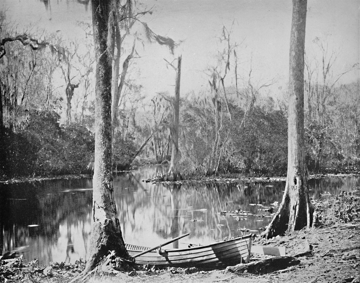 A Feeder of the St. Johns River, Florida, c1897. od Unbekannt
