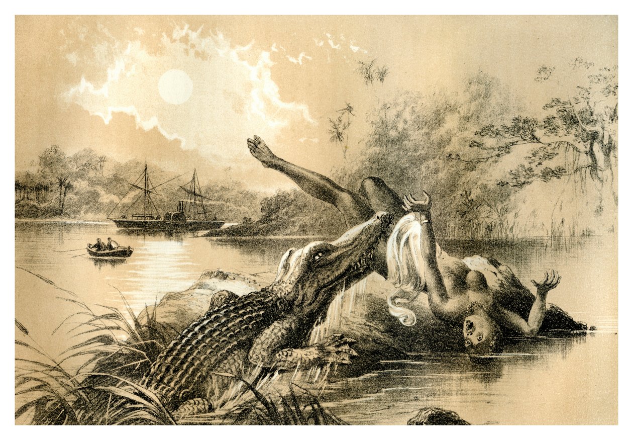 Děsivý incident, 1883 od Unbekannt