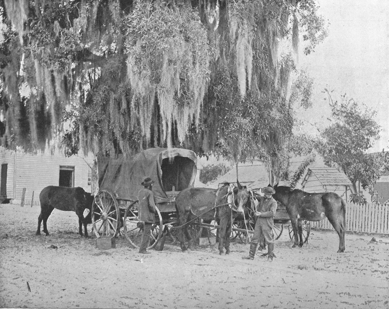 Obchodník ze San Antonia, Texas, USA, c1900. od Unbekannt