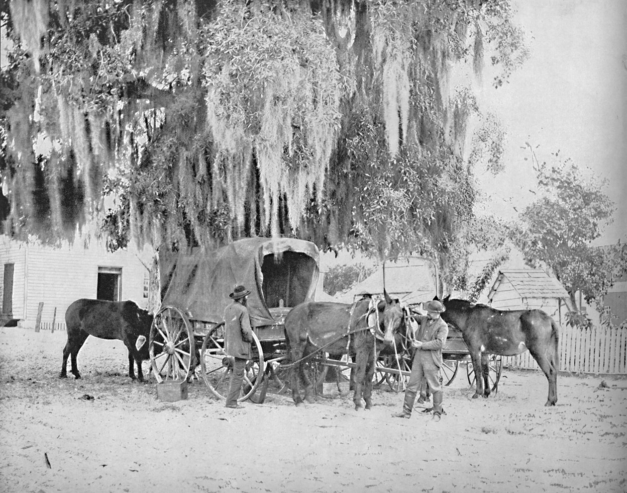 Obchodník ze San Antonia, Texas, c1897. od Unbekannt
